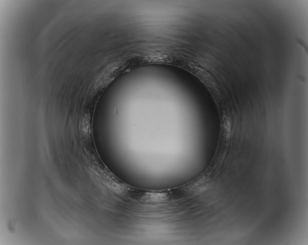 X0000099960665200806061607