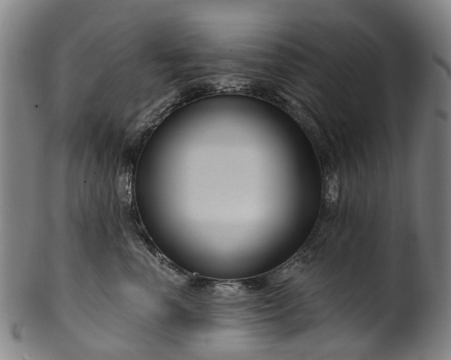 X0000099960666200806061607