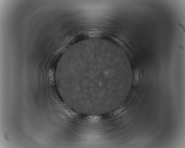 X0000099960667200806061607