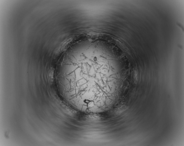 X0000099960668200806061607