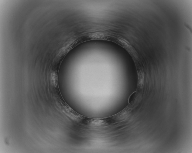 X0000099960669200806061607