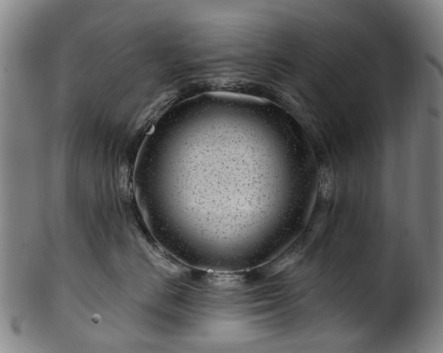 X0000099960670200806061607