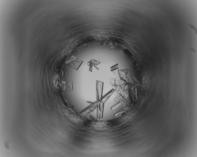 X0000099960671200806061607