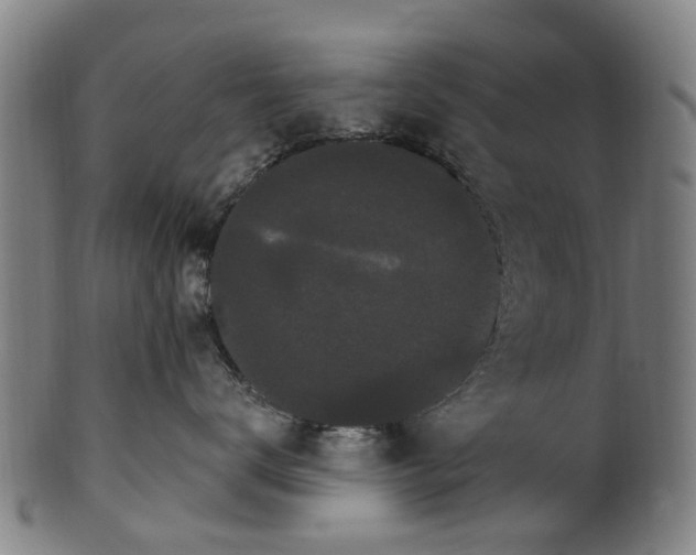 X0000099960672200806061607