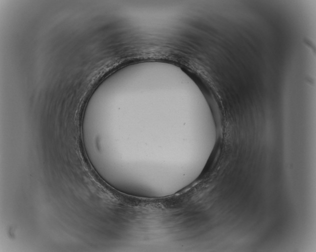X0000099960673200806061606