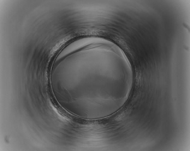 X0000099960674200806061606