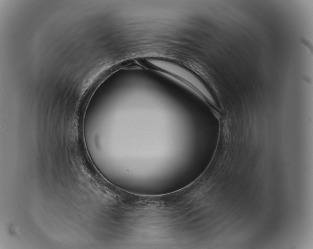 X0000099960676200806061606