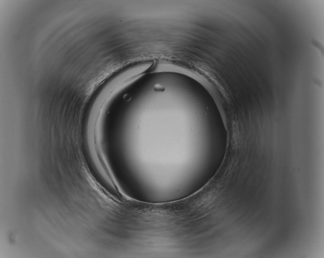 X0000099960677200806061606