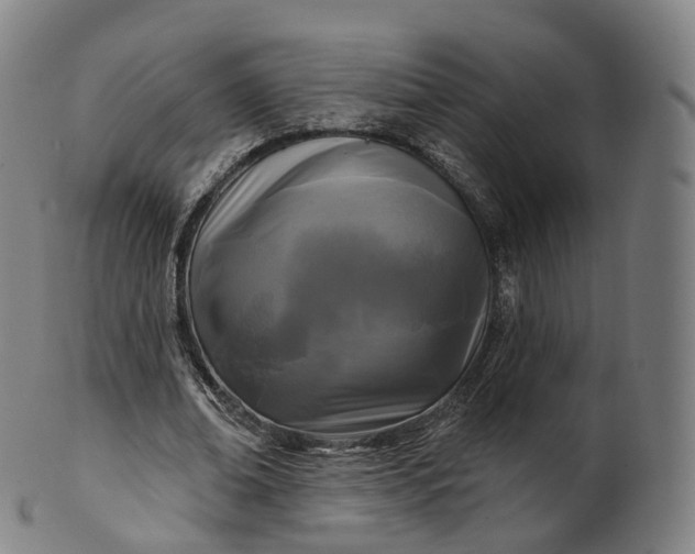 X0000099960678200806061606