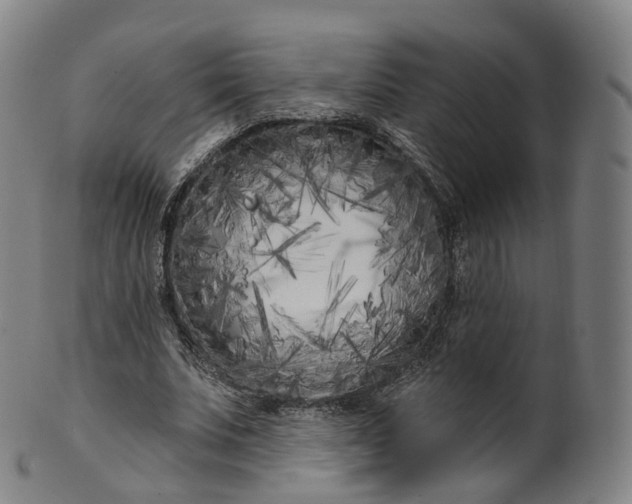 X0000099960679200806061606