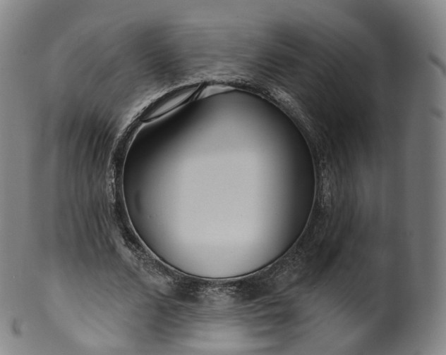 X0000099960680200806061606
