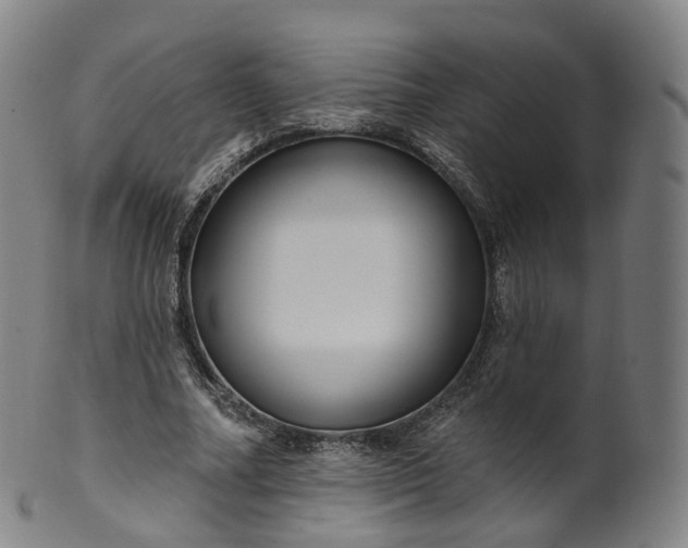 X0000099960682200806061606