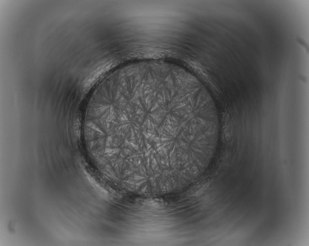 X0000099960683200806061606