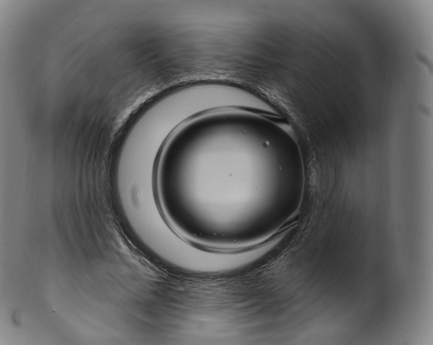 X0000099960684200806061606