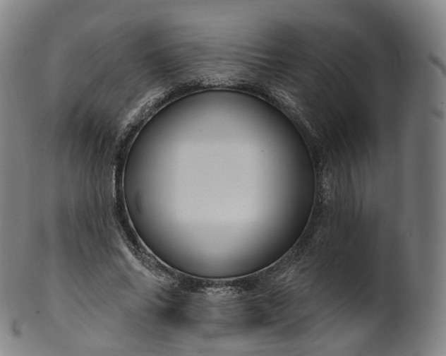 X0000099960686200806061606
