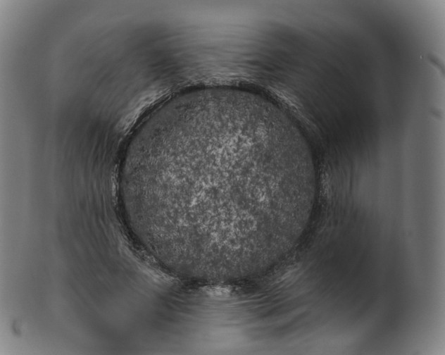 X0000099960687200806061606