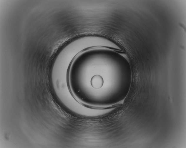 X0000099960688200806061606