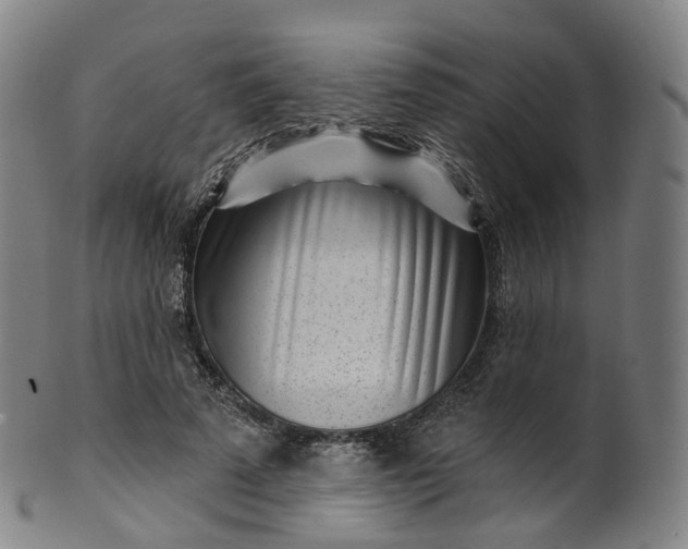 X0000099960689200806061606