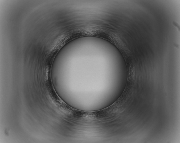 X0000099960694200806061606