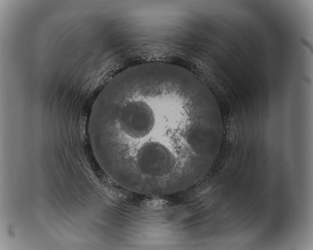 X0000099960695200806061606
