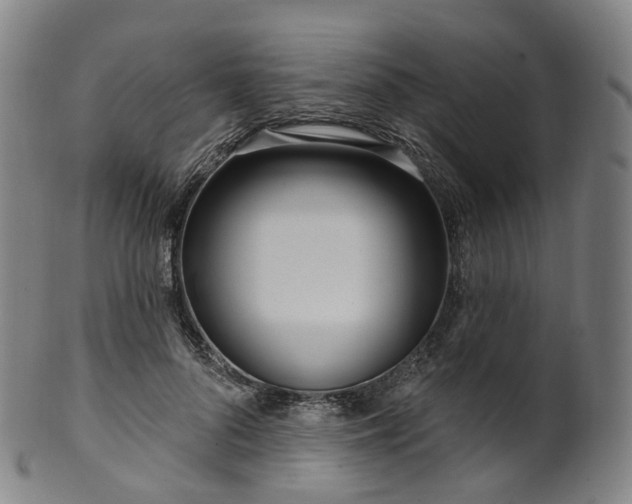 X0000099960696200806061606