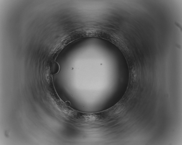 X0000099960698200806061606