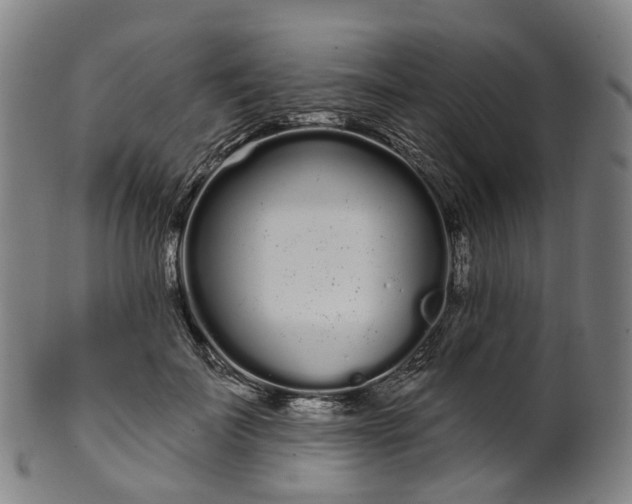 X0000099960699200806061606