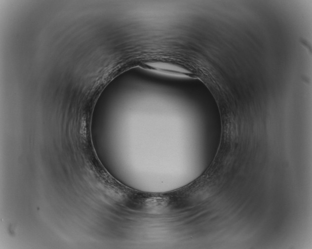 X0000099960700200806061606