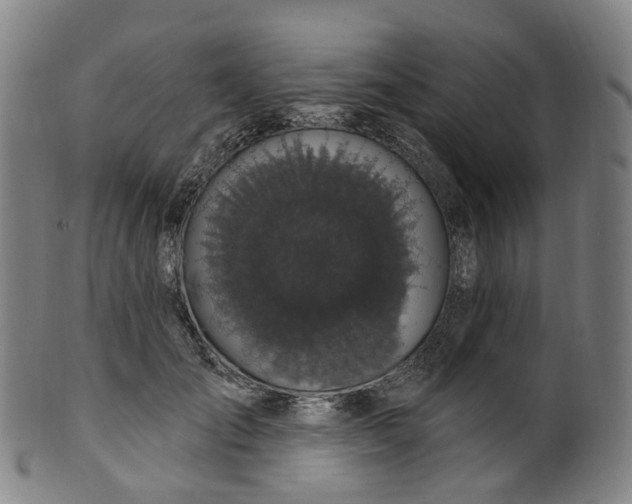 X0000099960701200806061606