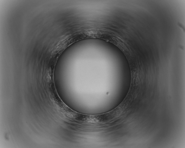 X0000099960702200806061606