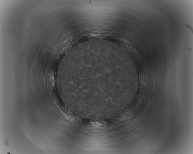 X0000099960703200806061606