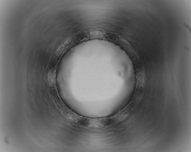 X0000099960705200806061606