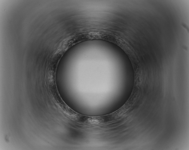X0000099960706200806061606