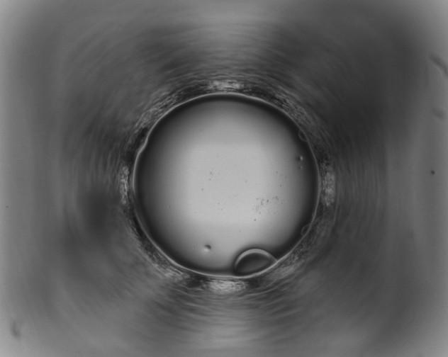 X0000099960707200806061606