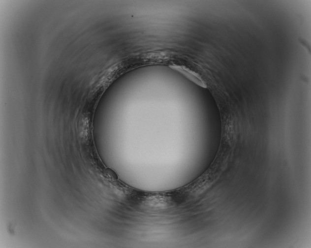 X0000099960708200806061606