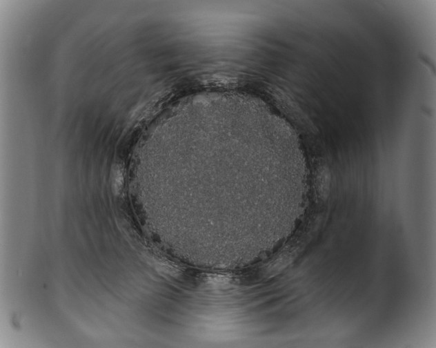 X0000099960709200806061606