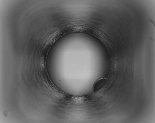X0000099960710200806061606