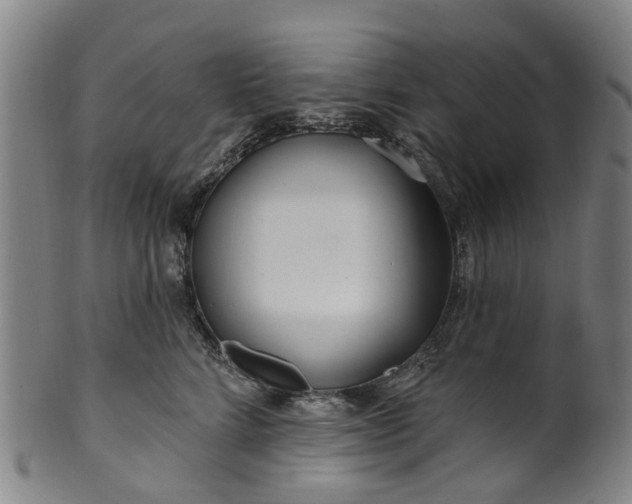 X0000099960712200806061606
