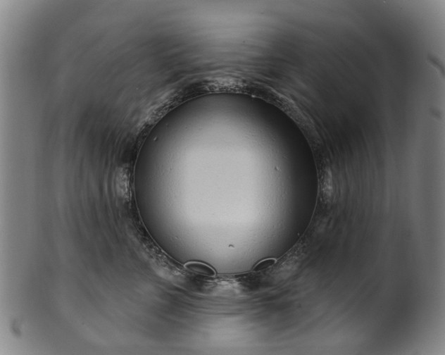 X0000099960715200806061606