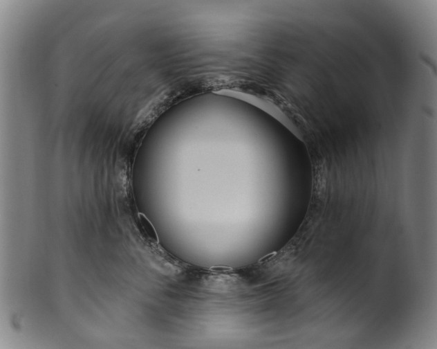 X0000099960716200806061606
