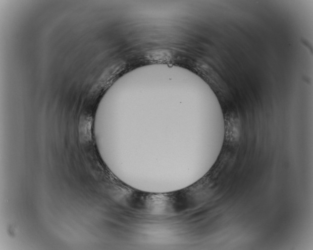 X0000099960717200806061606