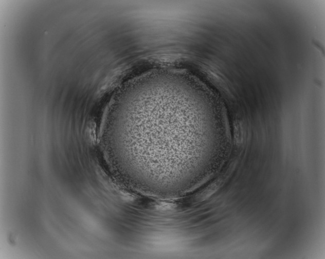 X0000099960718200806061606
