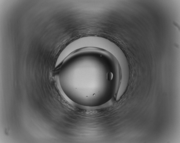 X0000099960720200806061606