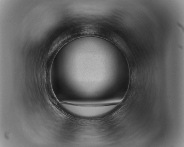 X0000099960722200806061605