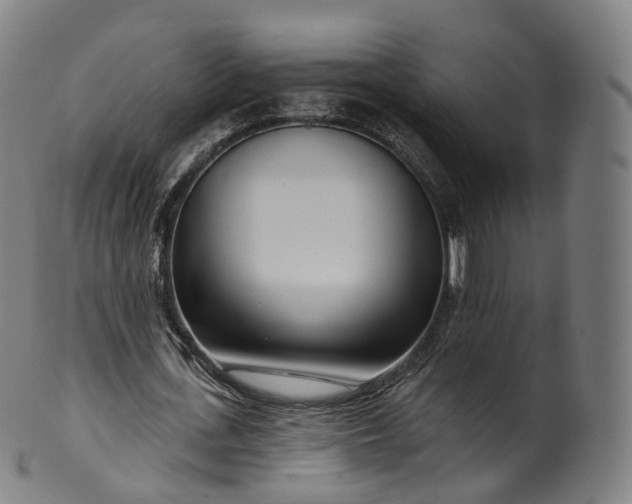 X0000099960723200806061605