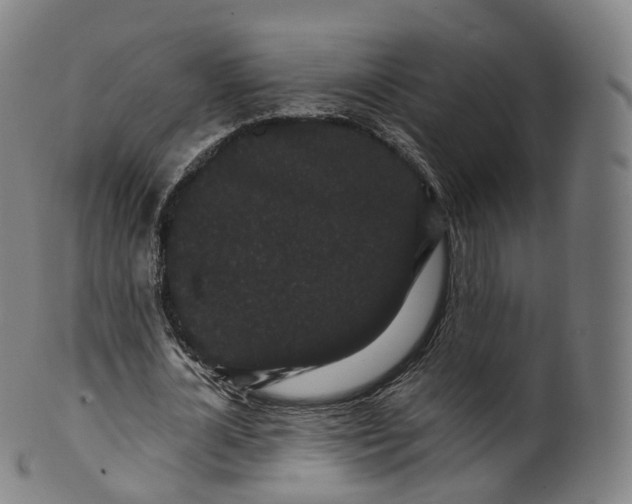 X0000099960724200806061605