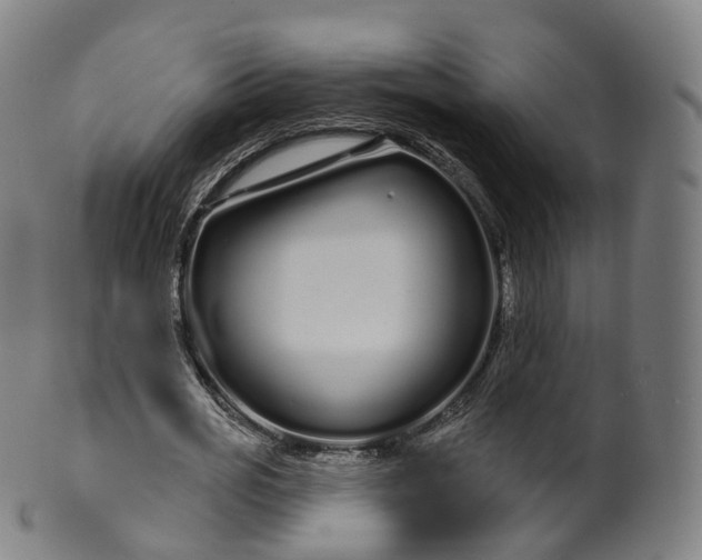 X0000099960725200806061605