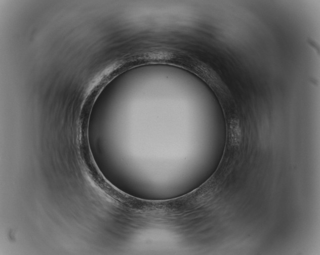 X0000099960726200806061605