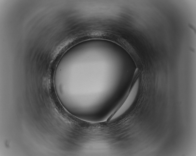 X0000099960728200806061605