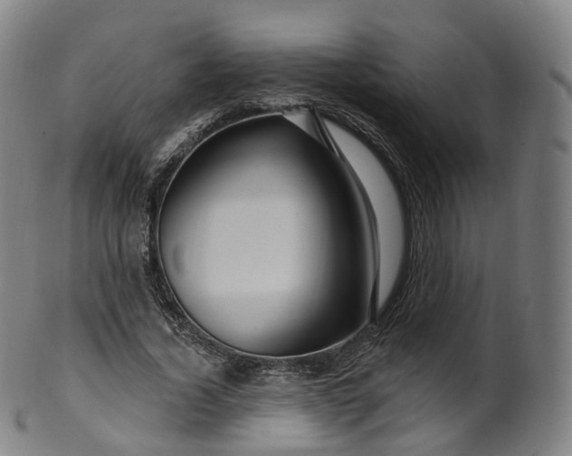 X0000099960732200806061605